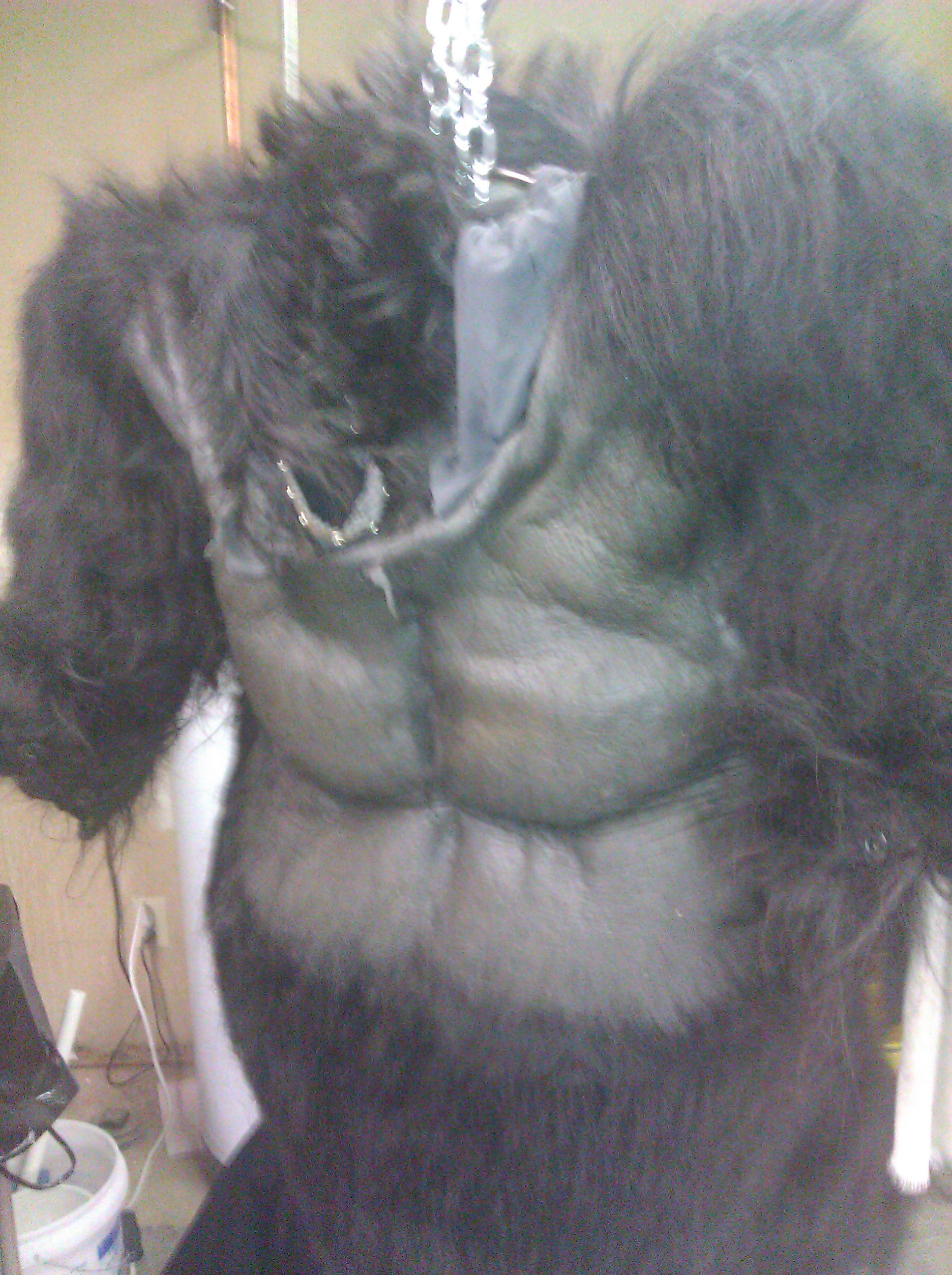 Costume5 Costume5