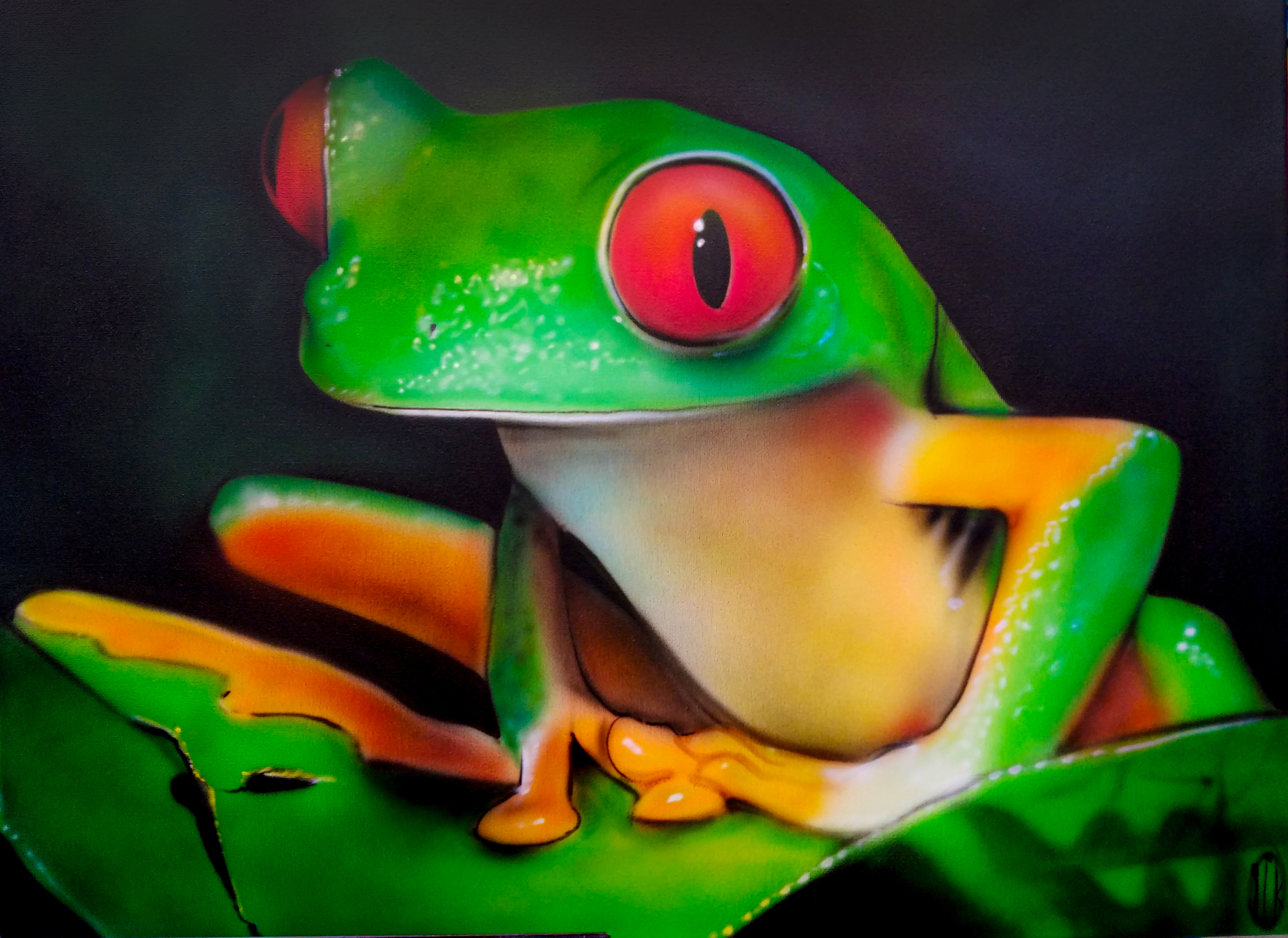 tree frog on canvas airbrushed tree frog on canvas airbrushed